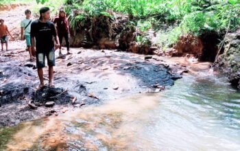 Kondisi Sungai di Wilayah Adat Muara Malungai. Foto: Istimewa.
