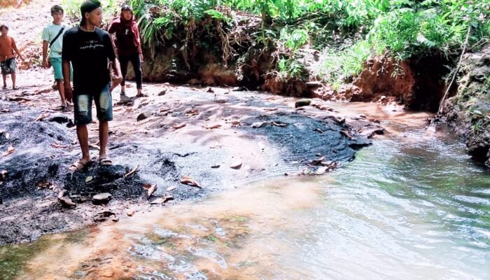 Kondisi Sungai di Wilayah Adat Muara Malungai Diduga Tertimbun Material Tambang