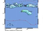 Gempa Magnitudo 6,1 Guncang Sumba Barat Daya, Tidak Berpotensi Tsunami