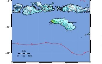 Gempa Magnitudo 6,1 Guncang Sumba Barat Daya, Tidak Berpotensi Tsunami