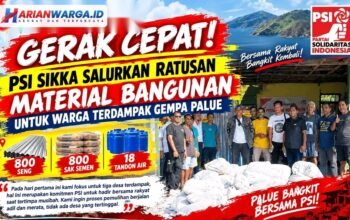 Pasca Kunjungan Jokowi di Palue, DPD PSI Sikka Distribusikan Bantuan ke 8 Desa di Palue. Foto: Istimewa